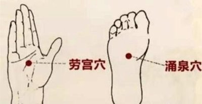 t01919dd5274a7bb997.jpg